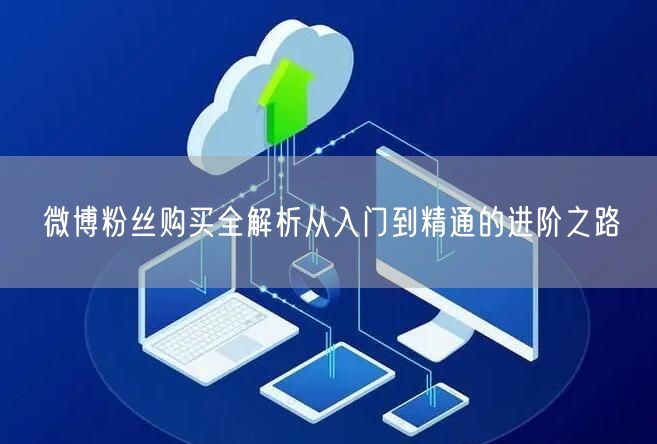 微博粉丝购买全解析从入门到精通的进阶之路