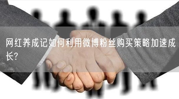 网红养成记如何利用微博粉丝购买策略加速成长?