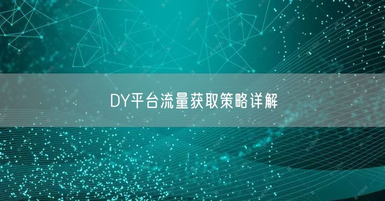 DY平台流量获取策略详解