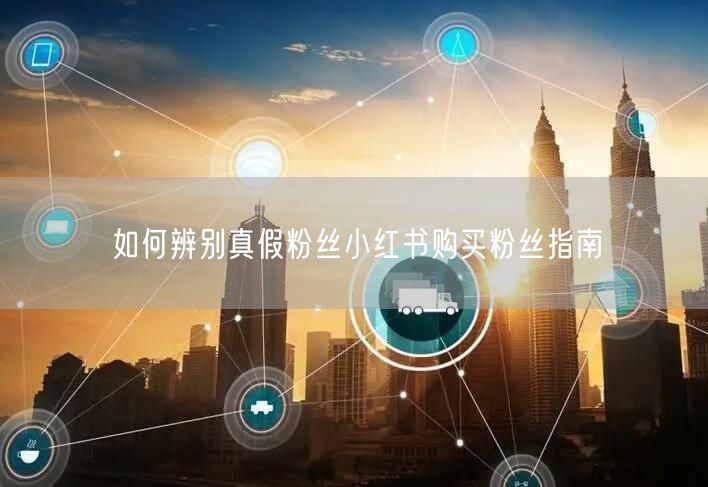 如何辨别真假粉丝小红书购买粉丝指南