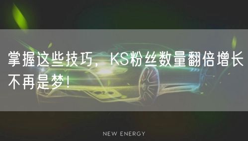 掌握这些技巧，KS粉丝数量翻倍增长不再是梦！