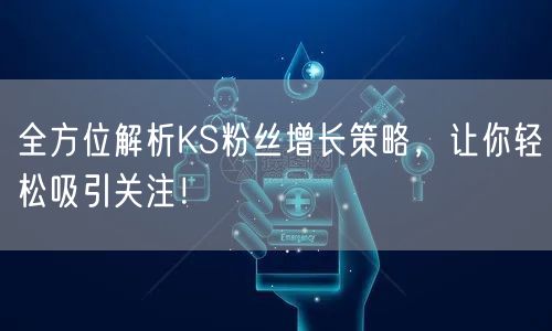 全方位解析KS粉丝增长策略，让你轻松吸引关注！