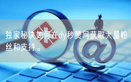 独家秘诀如何在dy秒赞网获取大量粉丝和支持。
