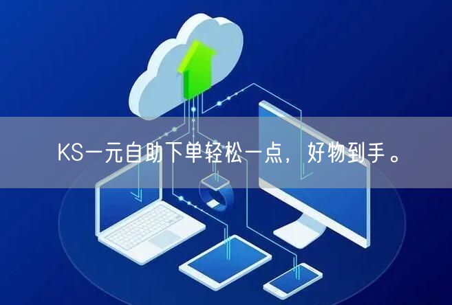KS一元自助下单轻松一点，好物到手。