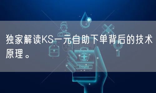 独家解读KS一元自助下单背后的技术原理。