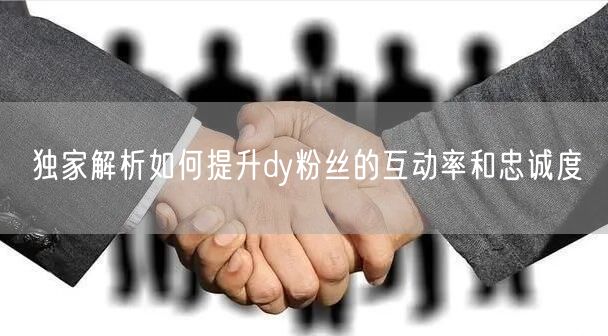 独家解析如何提升dy粉丝的互动率和忠诚度