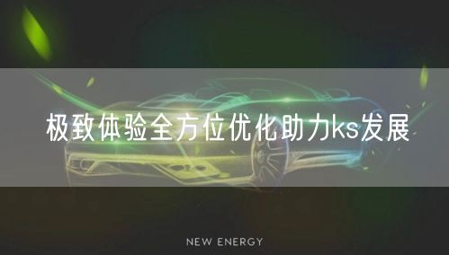 极致体验全方位优化助力ks发展