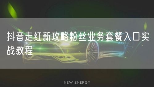 抖音走红新攻略粉丝业务套餐入口实战教程