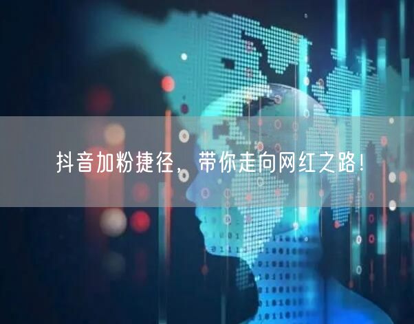 抖音加粉捷径，带你走向网红之路！