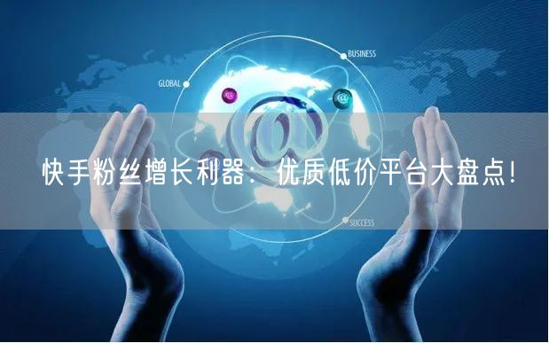 快手粉丝增长利器：优质低价平台大盘点！
