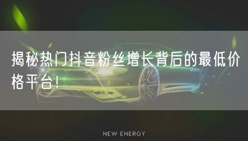 揭秘热门抖音粉丝增长背后的最低价格平台！