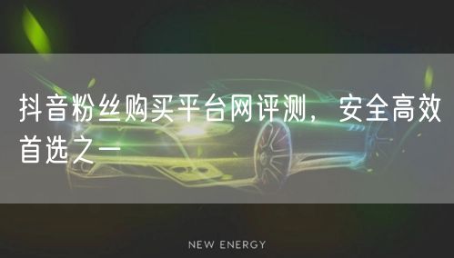 抖音粉丝购买平台网评测，安全高效首选之一