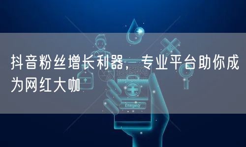 抖音粉丝增长利器，专业平台助你成为网红大咖