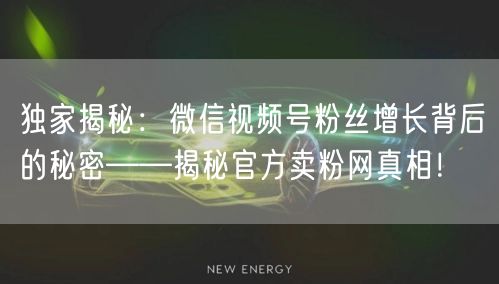 独家揭秘：微信视频号粉丝增长背后的秘密——揭秘官方卖粉网真相！
