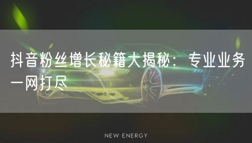 抖音粉丝增长秘籍大揭秘：专业业务一网打尽